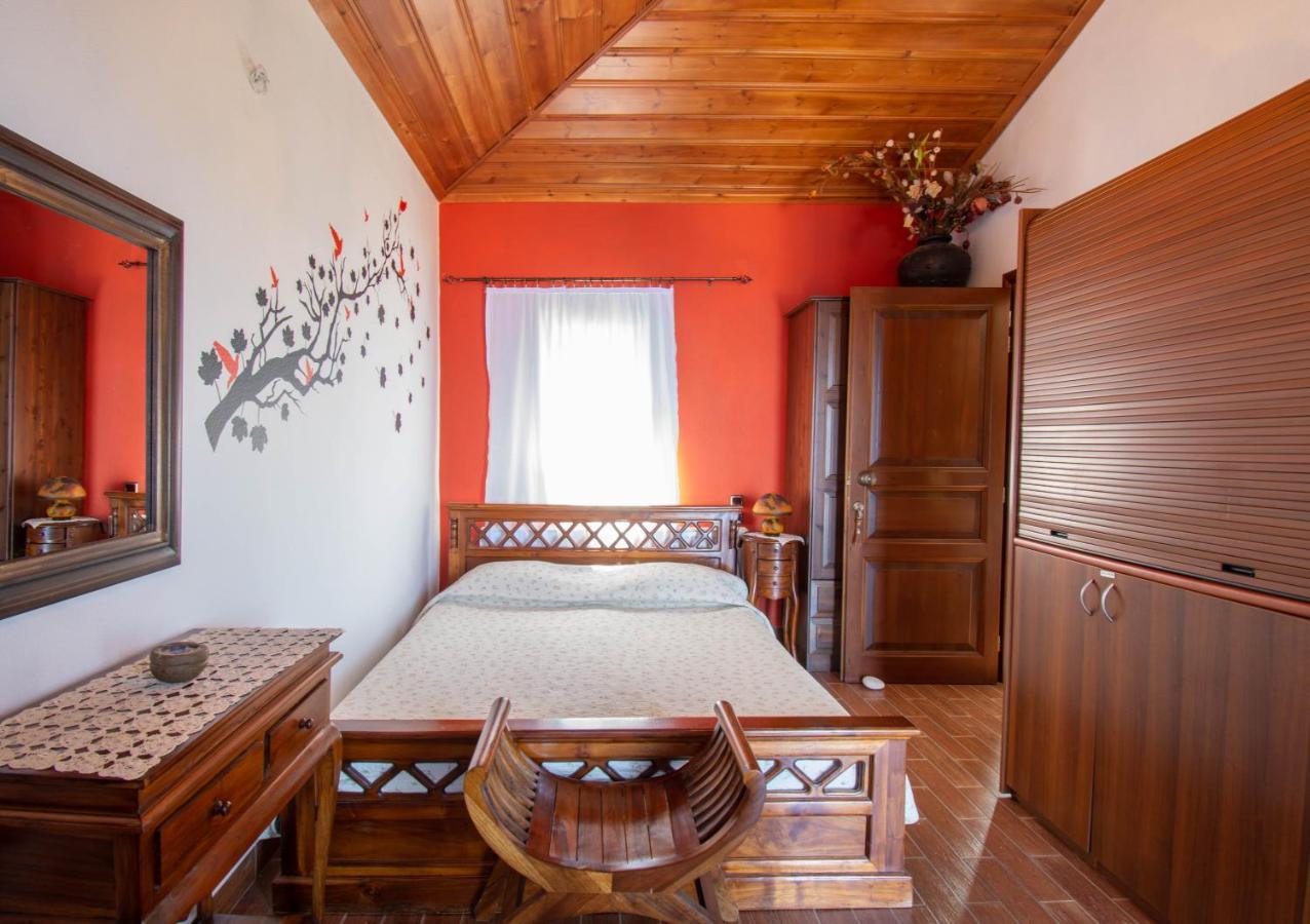 Traditional Guesthouse 4 Epoches 扎戈拉 外观 照片